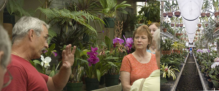 Tom McBride at The Little Greenhouse, Baltimore, Maryland
