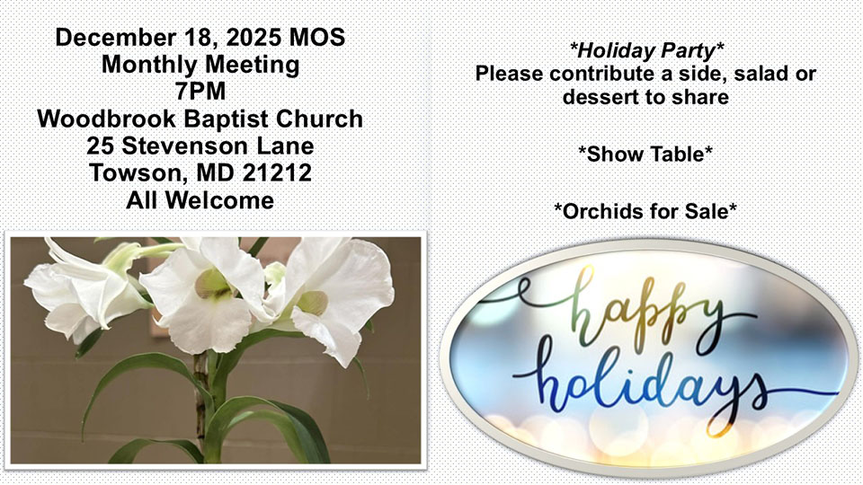 Maryland Orchid Society Holiday Party 2025