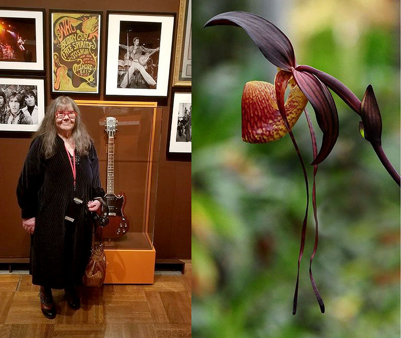 Helen Hersh, Maryland Orchid Society June 19, 2025